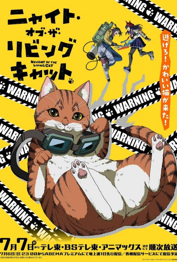 Ночь живых кошаков