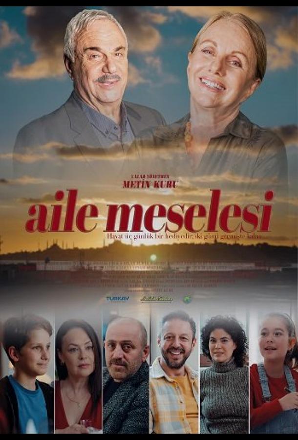 Семейные вопросы / Айле Меселеси